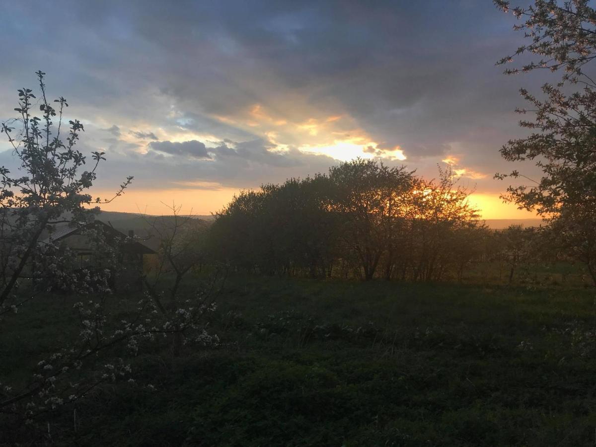 Pod Wisnia Agroturystyka Kalwaria Paclawska Esterno foto